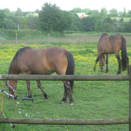 Les Croisettes Bed & Breakfast Le Pin  Bagian luar foto
